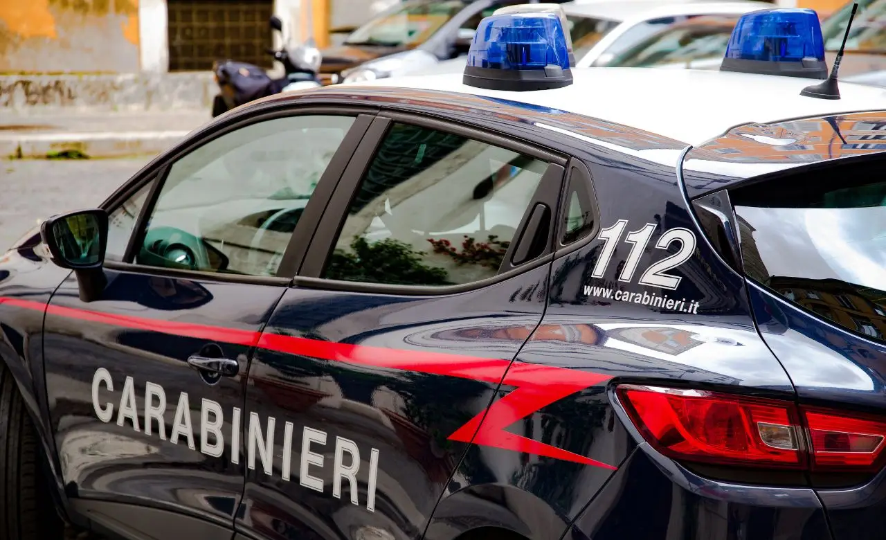 Articoli da leggere